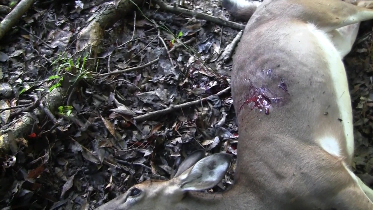 Click to Watch Video