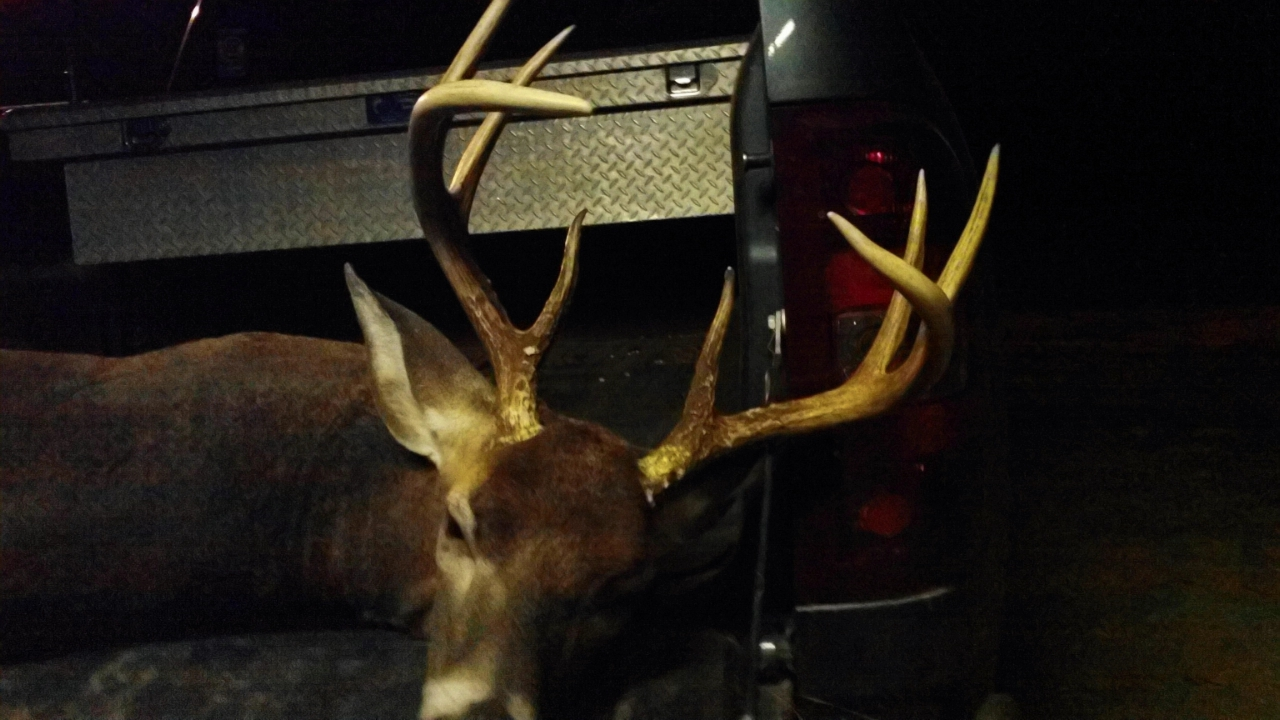 Click to Watch Video