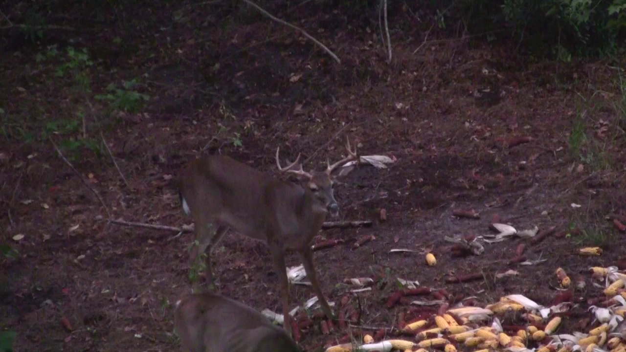 Click to Watch Video