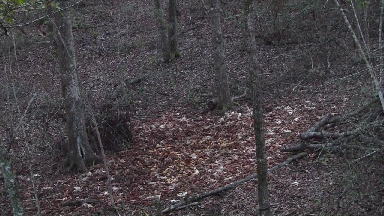 Click to Watch Video