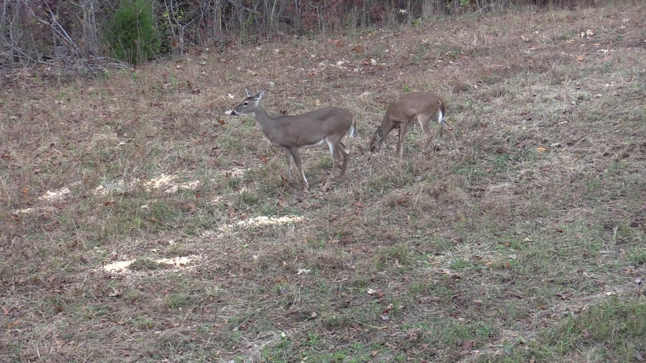 Click to Watch Video