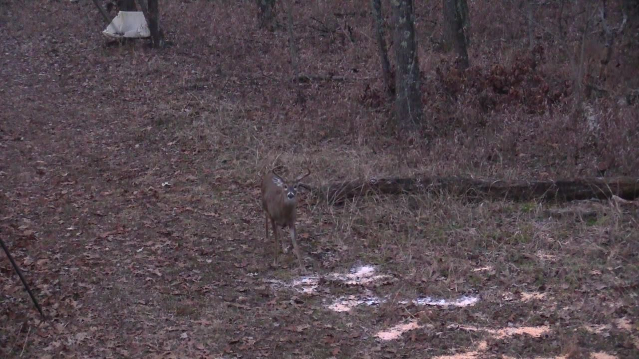 Click to Watch Video