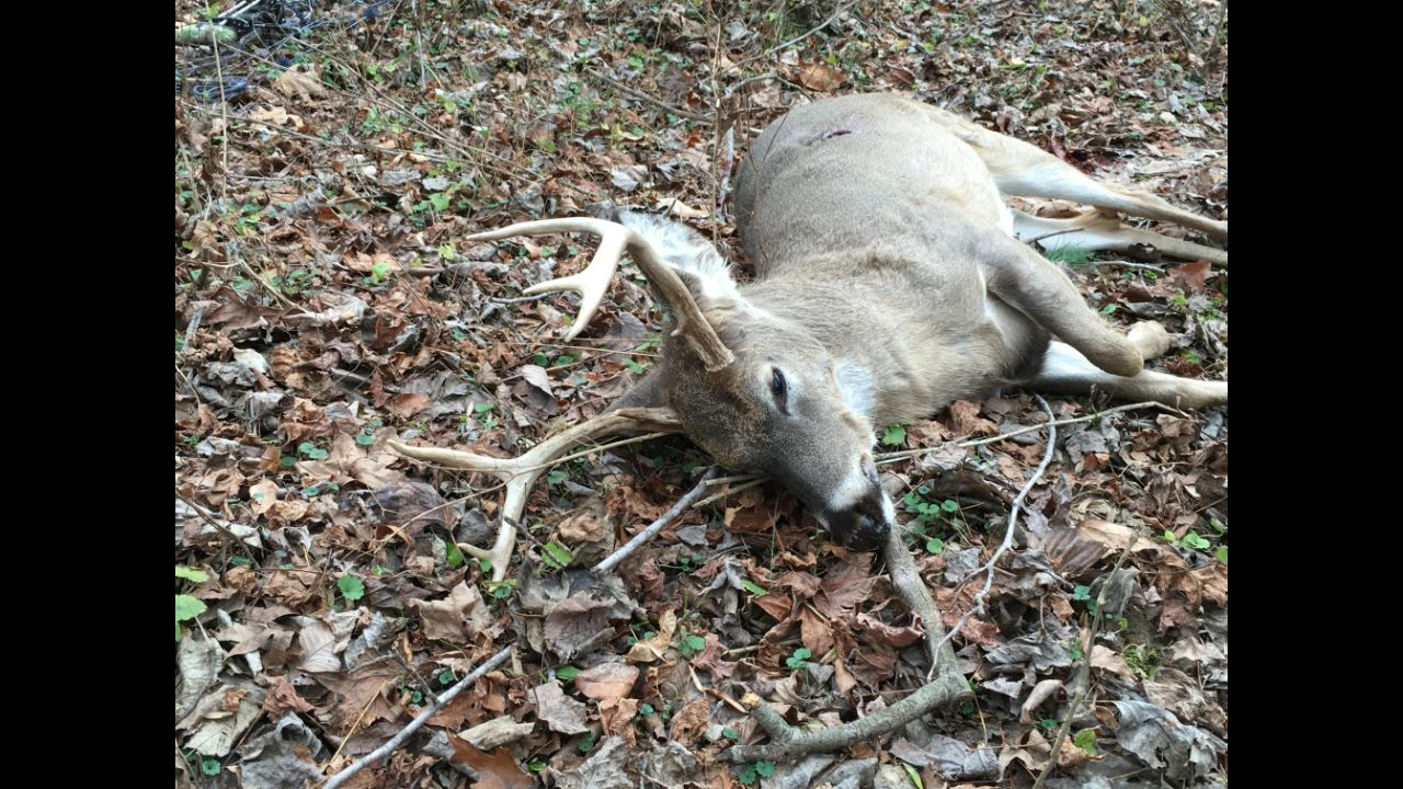 Click to Watch Video