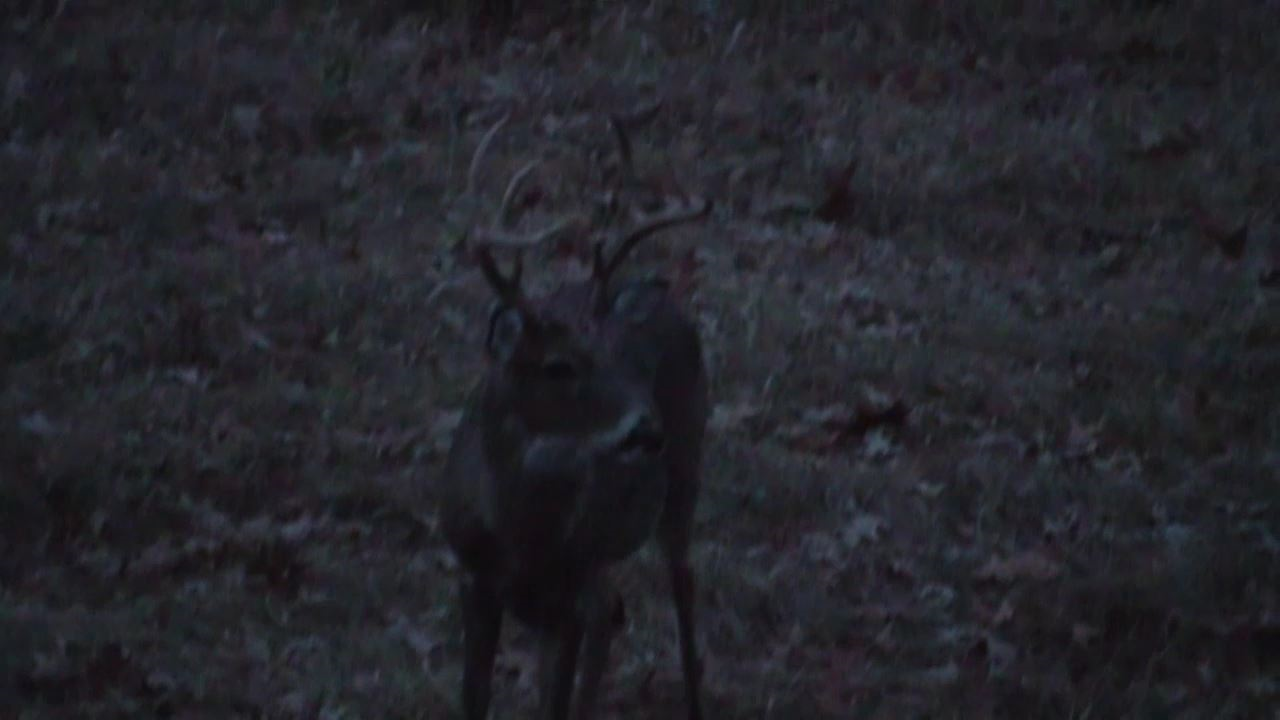 Click to Watch Video