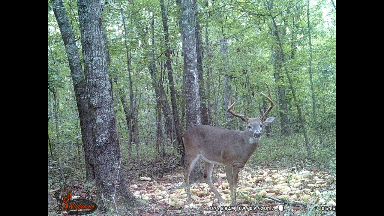 Click to Watch Video