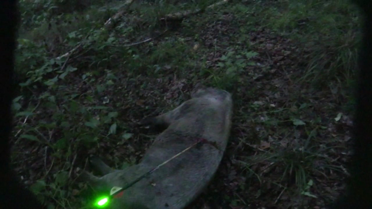 Click to Watch Video