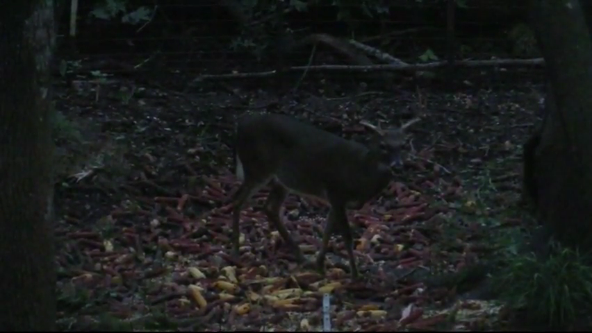 Click to Watch Video