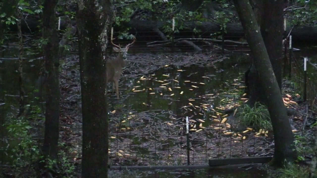 Click to Watch Video