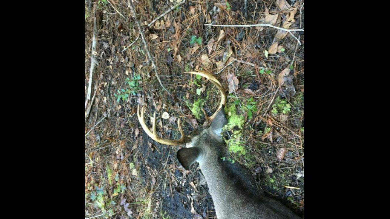 Click to Watch Video