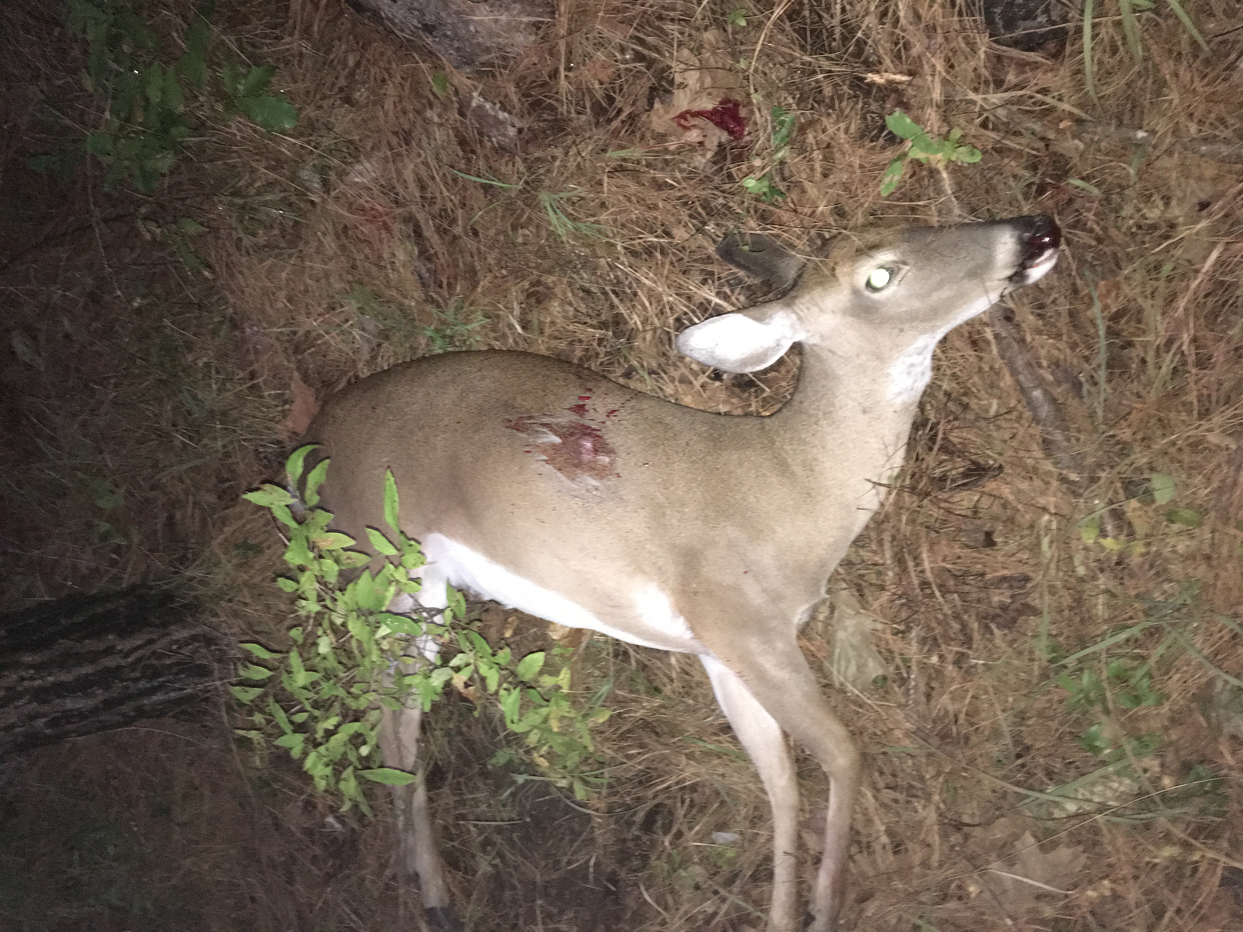 Click to Watch Video