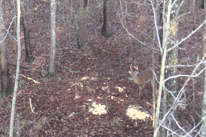 Click to Watch Video