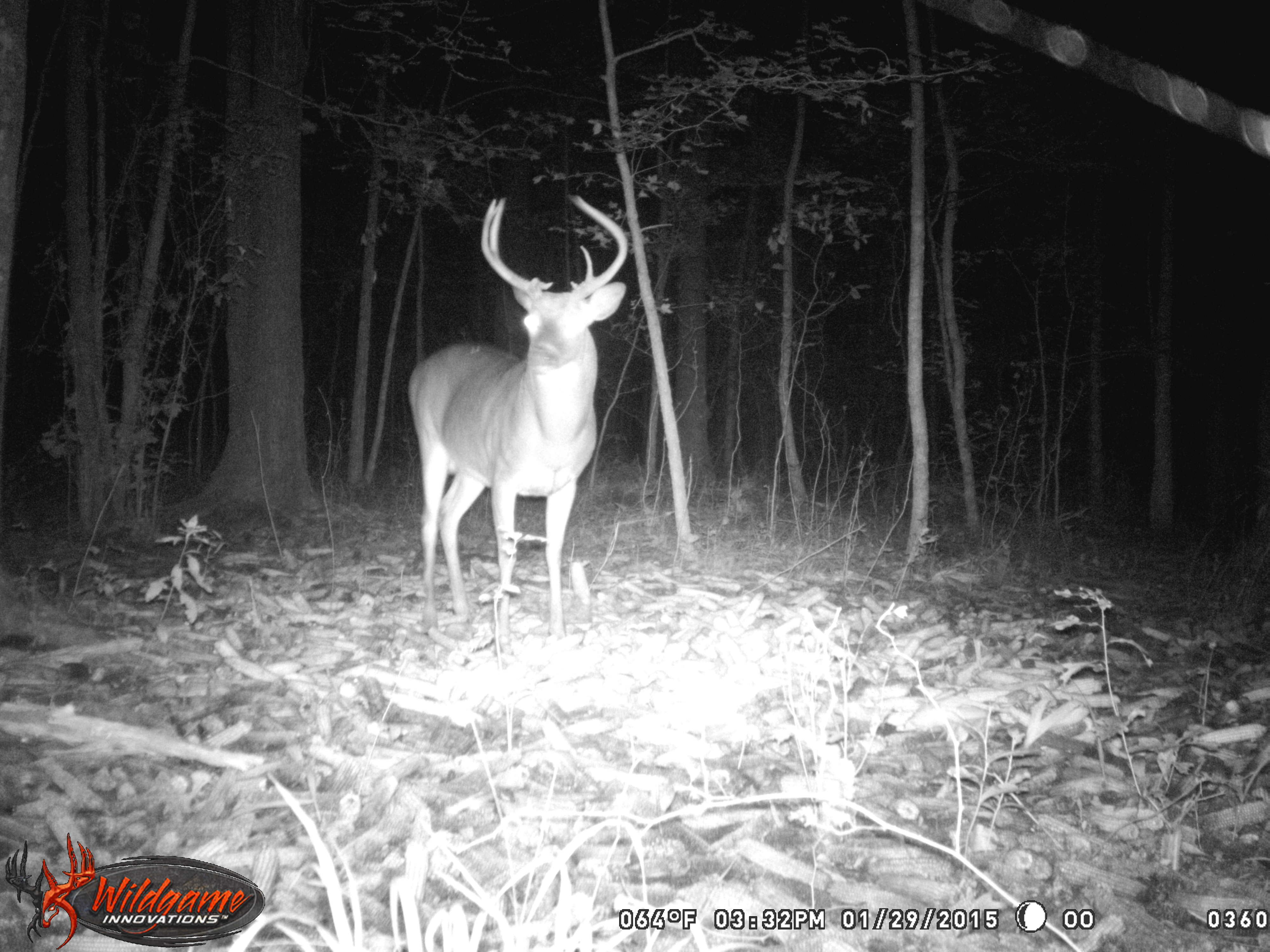 Click to Watch Video