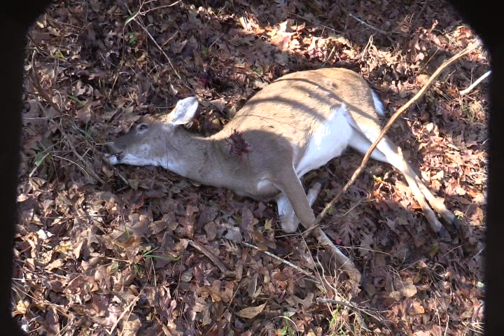 Click to Watch Video