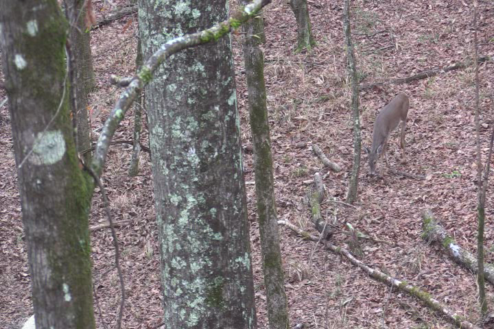 Click to Watch Video