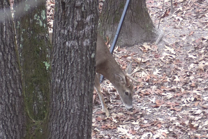 Click to Watch Video