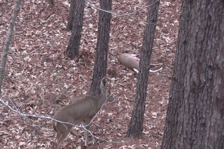 Click to Watch Video