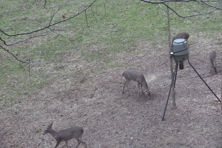 Click to Watch Video