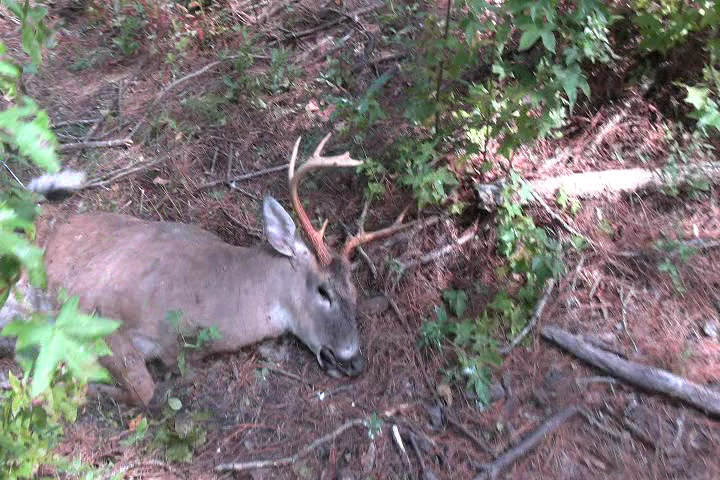 Click to Watch Video