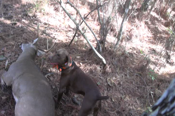 Click to Watch Video