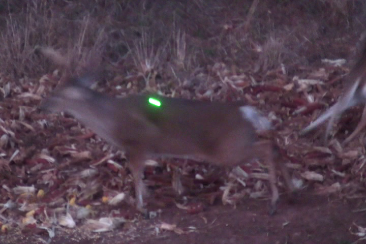 Click to Watch Video