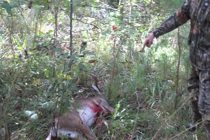 Click to Watch Video