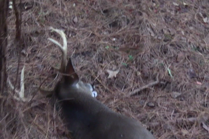 Click to Watch Video