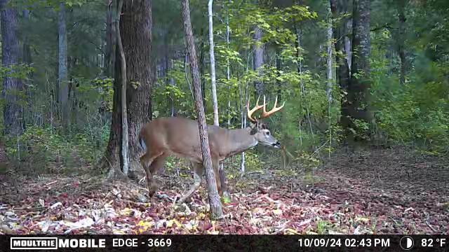 Click to Watch Video