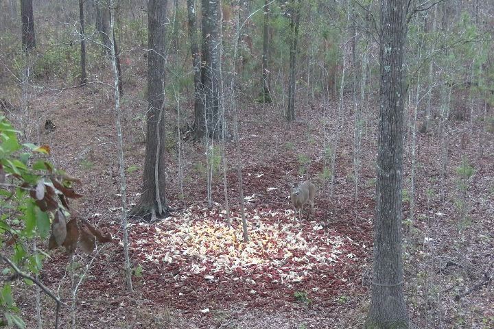 Click to Watch Video