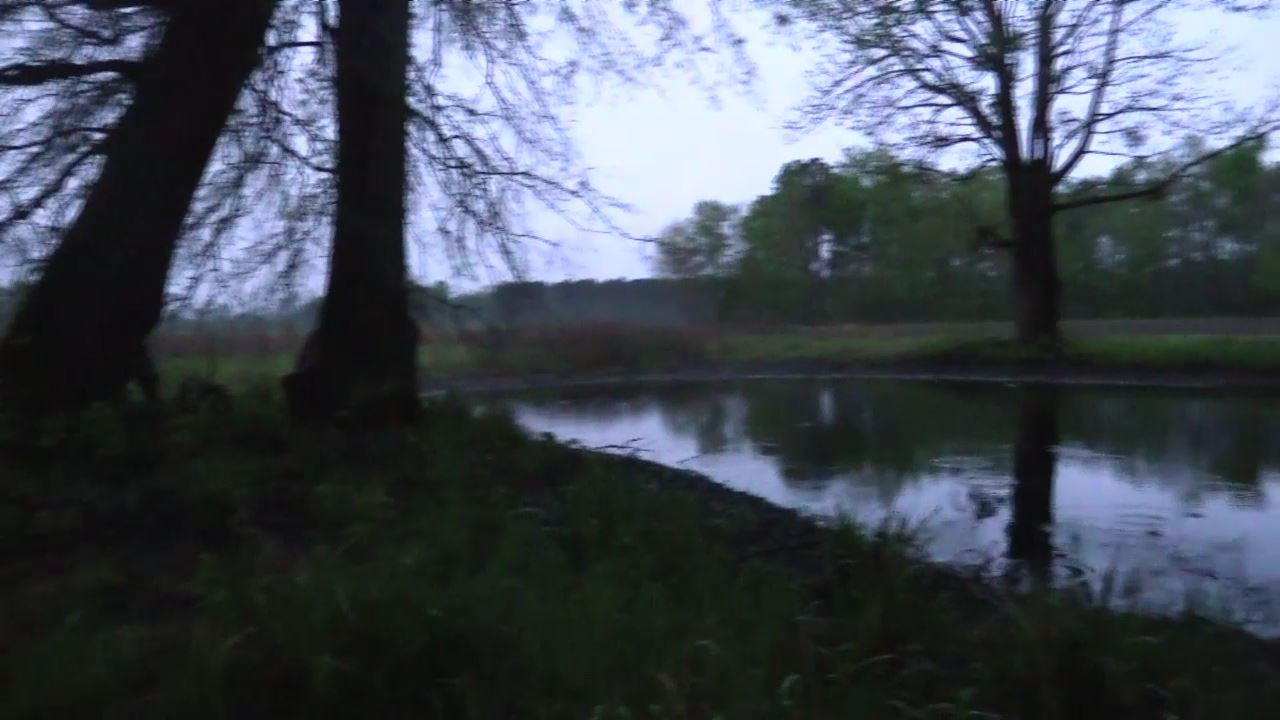 Click to Watch Video