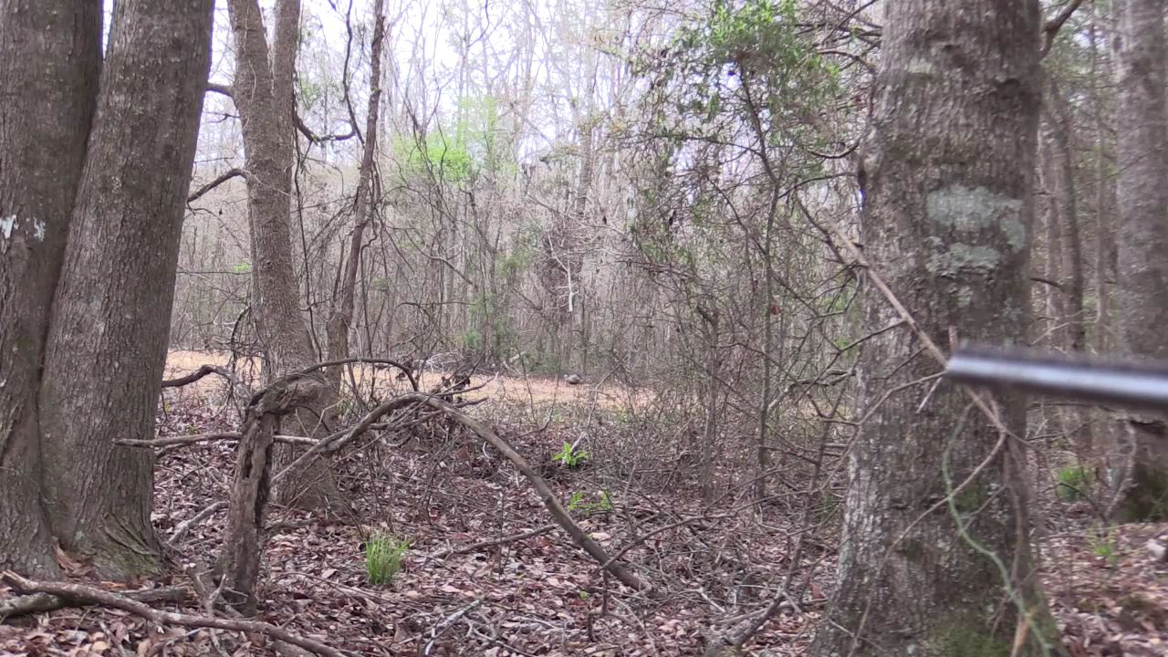 Click to Watch Video