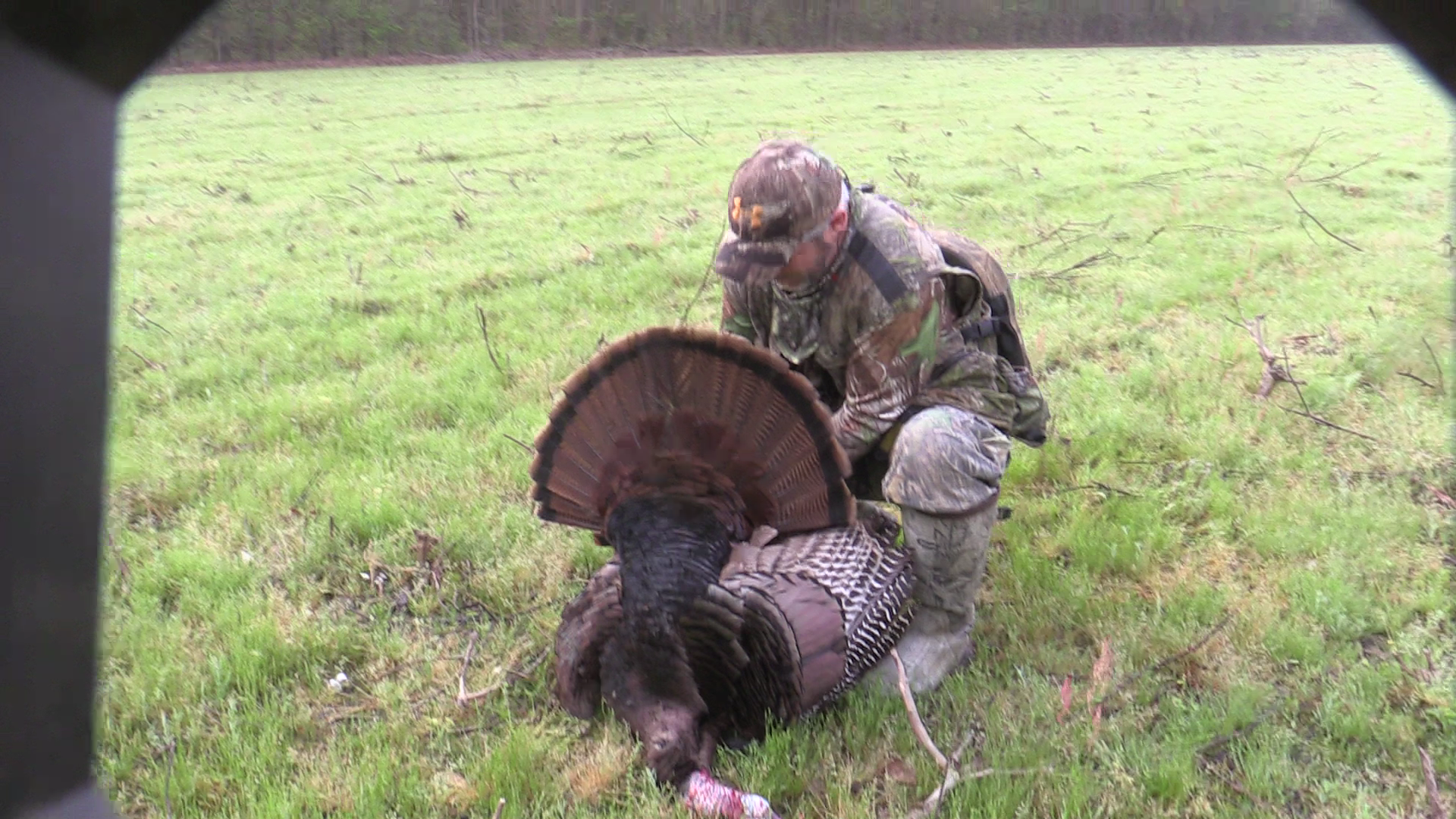 Click to Watch Video