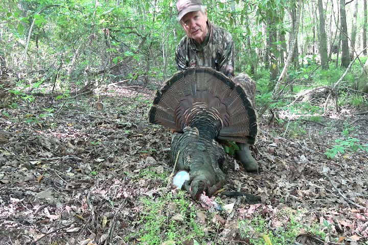 Click to Watch Video