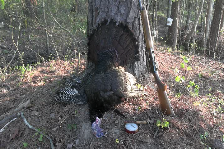 Click to Watch Video