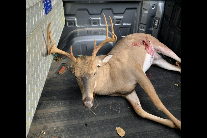 Click to Watch Video