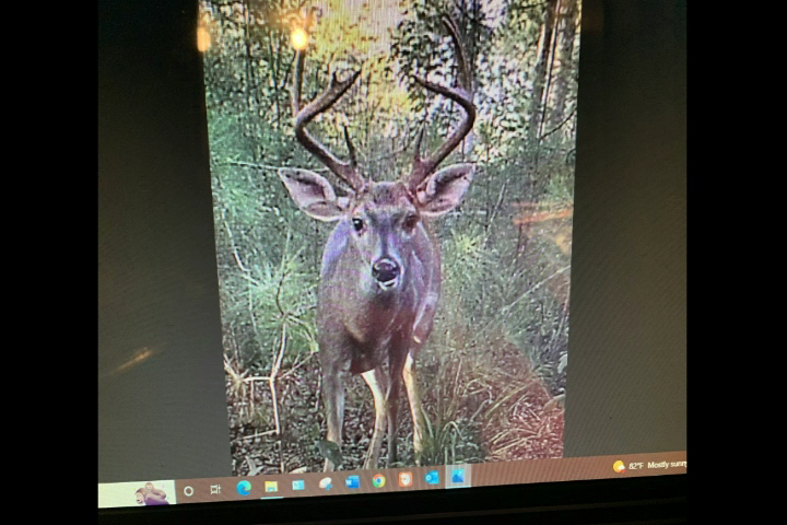 Click to Watch Video